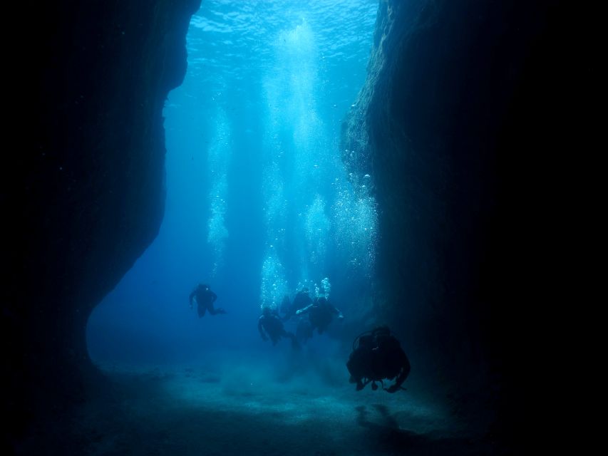Oia: 2 Guided Scuba Dives off Santorini for Certified Divers - What Santorini looks like below the surface