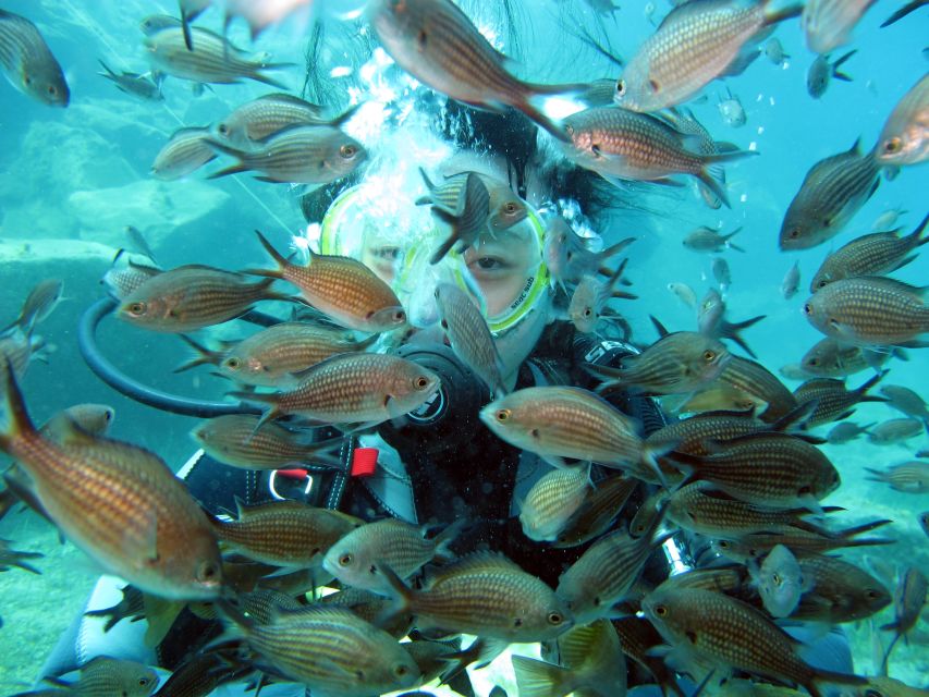 Oia: 2 Guided Scuba Dives off Santorini for Certified Divers - Returning to Oia by about 1:00 PM