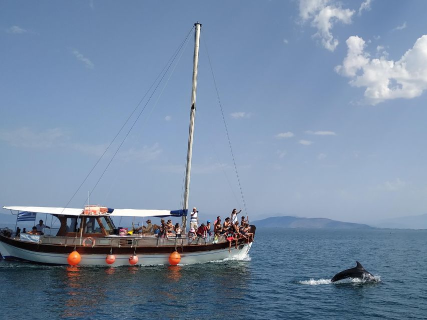 Preveza: Dolphin Watching Cruise with Lunch and Drinks - Key points at a glance