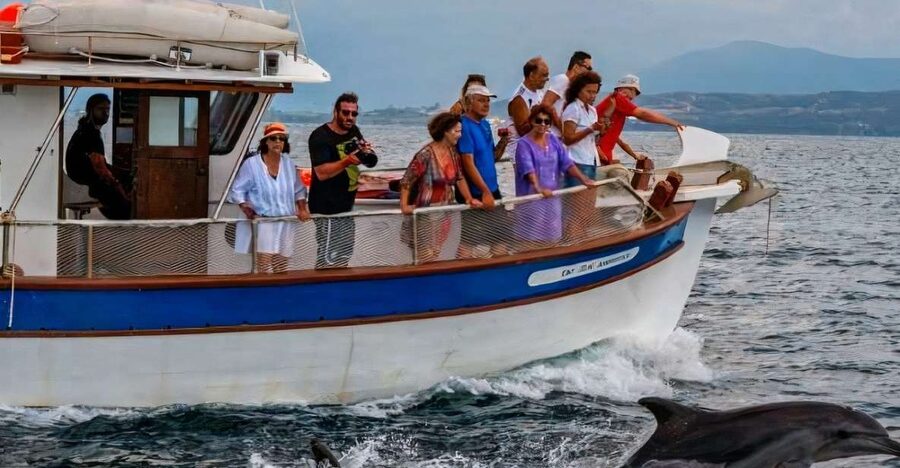 Preveza: Dolphin Watching Cruise with Lunch and Drinks - A five-hour pace that feels relaxed