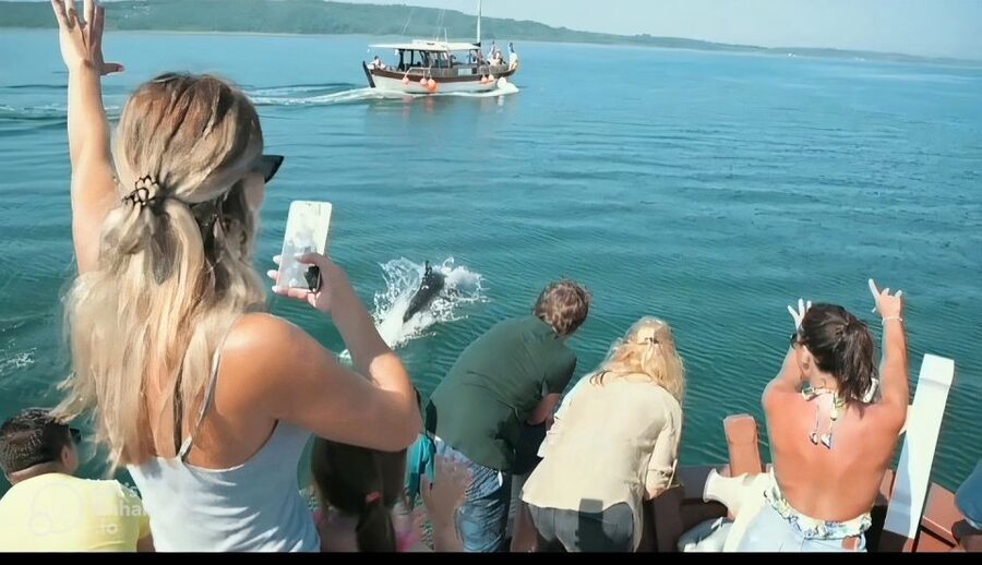 Preveza: Dolphin Watching Cruise with Lunch and Drinks - Who will enjoy this cruise most?