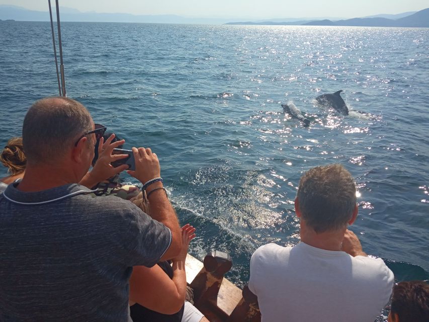 Preveza: Dolphin Watching Cruise with Lunch and Drinks - What to bring and how to prepare