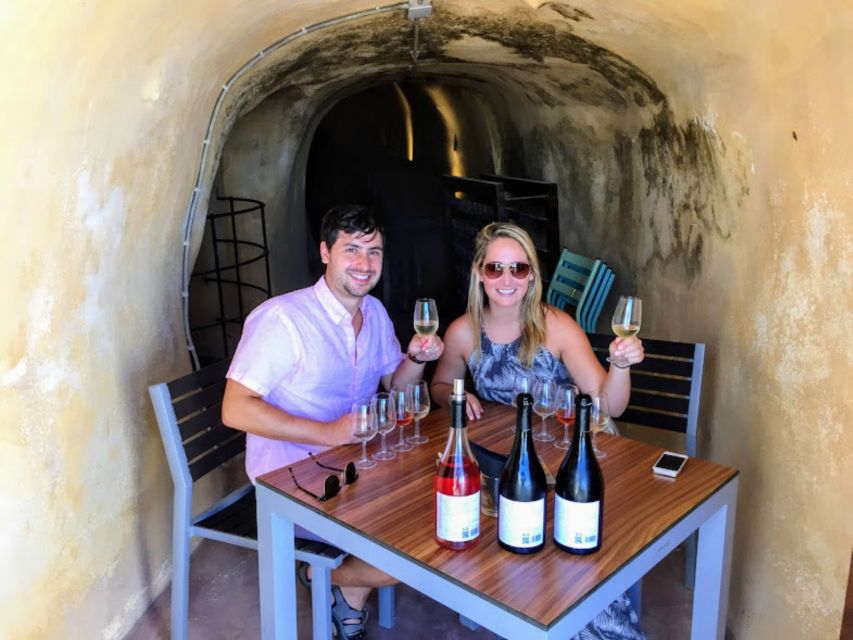 Private Group Visit to Akrotiri & 3 Wineries with Tastings - The volcanic wine story