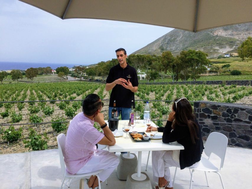 Private Group Visit to Akrotiri & 3 Wineries with Tastings - The guides can shape the whole experience