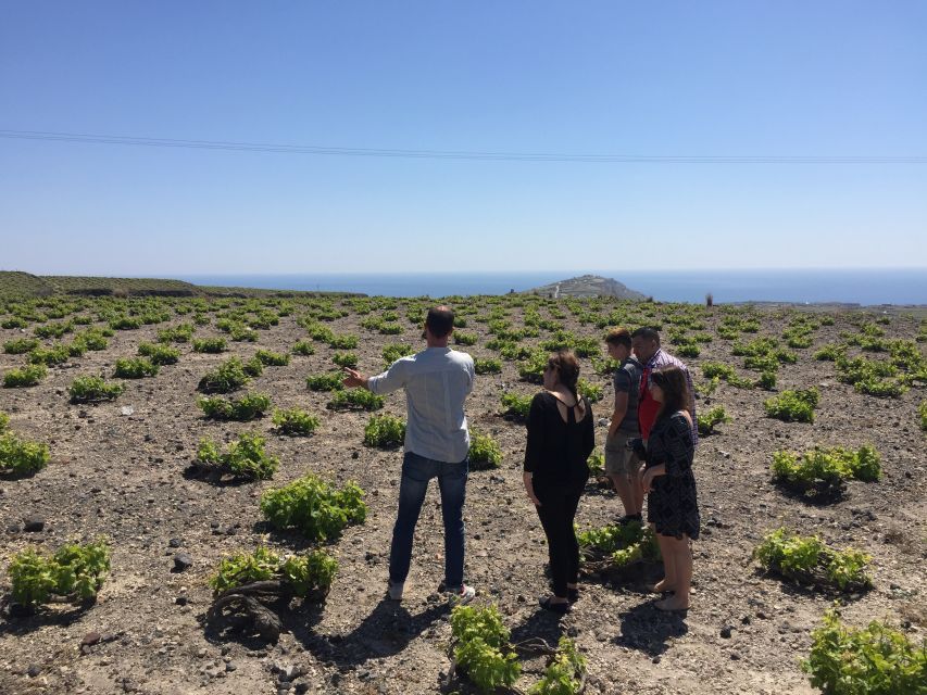 Private Group Visit to Akrotiri & 3 Wineries with Tastings - Who should book this tour?