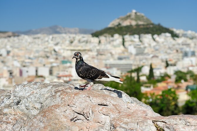 Private Luxury Biblical Tour: Apostle Paul in Athens & Corinth - Athens: the Agora where Paul faced the city’s ideas