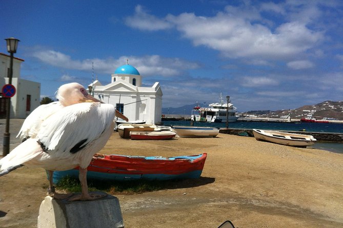 Private Tour: Mykonos Island in Half a Day - Kalo Livadi Beach and the coastal side of Mykonos
