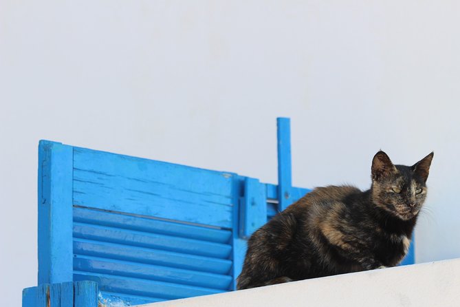 Private Tour: Mykonos Island in Half a Day - Timing, transport, and comfort