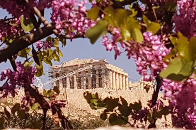 Private Trip Athens City's Landmarks. - What this private Athens trip is really like
