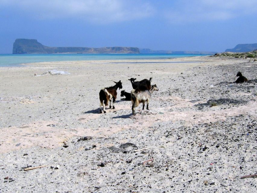 Rethymno: Gramvousa & Balos Lagoon Day Trip with Boat Ticket - Gramvousa fortress and its high views