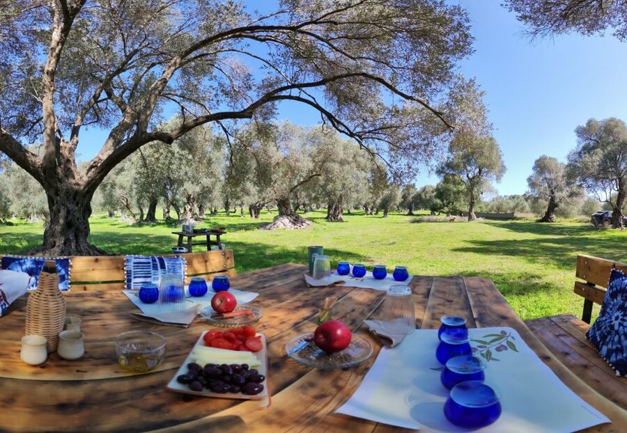 Rethymno: Olive Oil Tasting with Cretan Food Pairing - Four oils, four courses, and the lesson of pairing