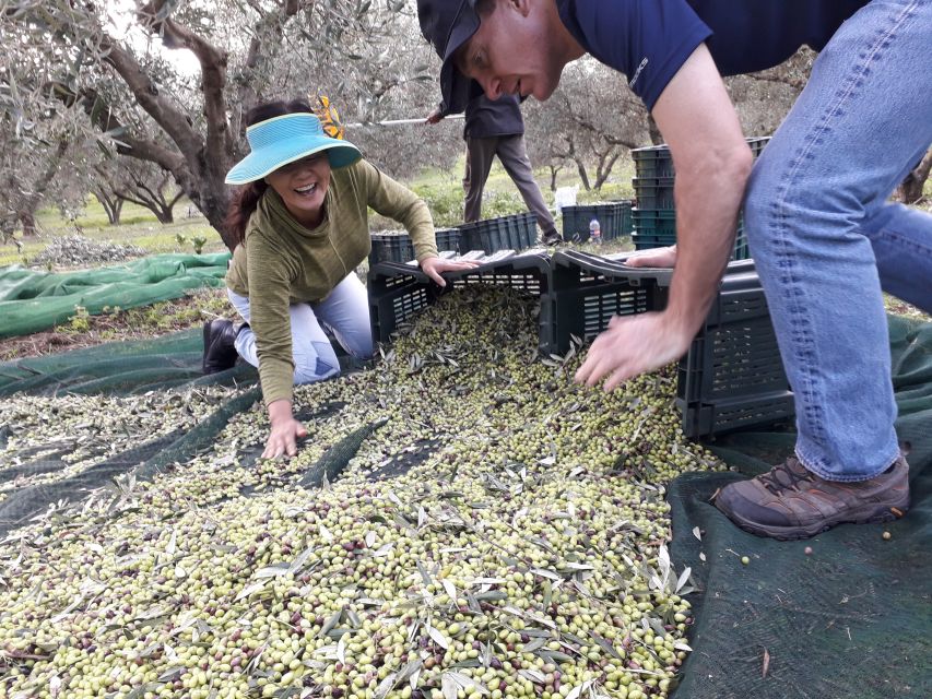 Rethymno: Olive Oil Tasting with Cretan Food Pairing - Aspassia brings the history to life