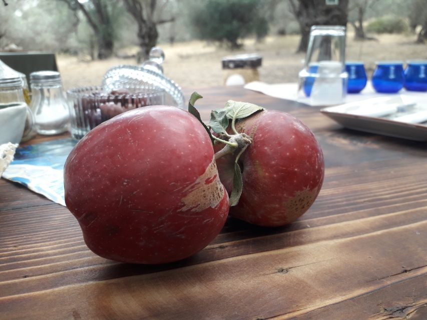 Rethymno: Olive Oil Tasting with Cretan Food Pairing - Is $107 a fair price?