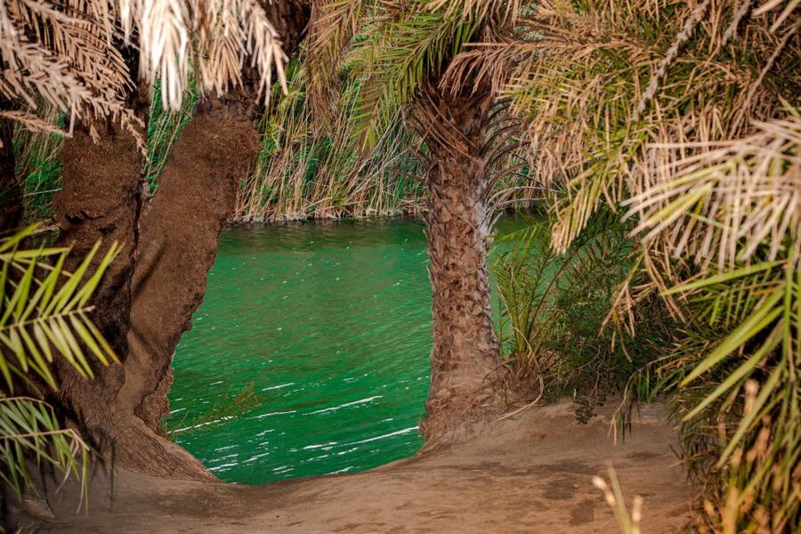 Rethymno: Preveli Beach Damnoni Beach Kourtaliotiko Day Trip - Preveli Beach and the palm forest