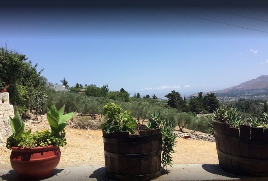 Rethymno: Private Winery & Olive Oil Tasting Tour with Lunch - Why this food tour gives you more than a tasting