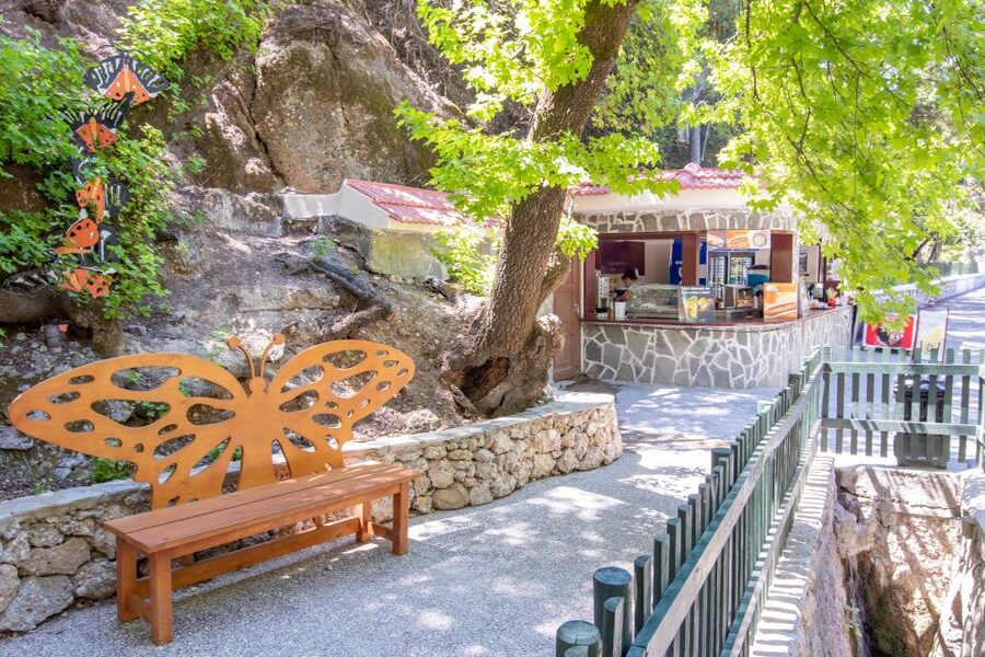 Rhodes: Butterfly Valley and Seven Springs Valley Day Trip - Who should book this day trip?
