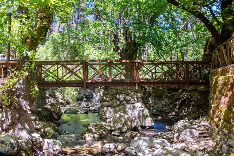 Rhodes: Butterfly Valley and Seven Springs Valley Day Trip - Practical packing advice