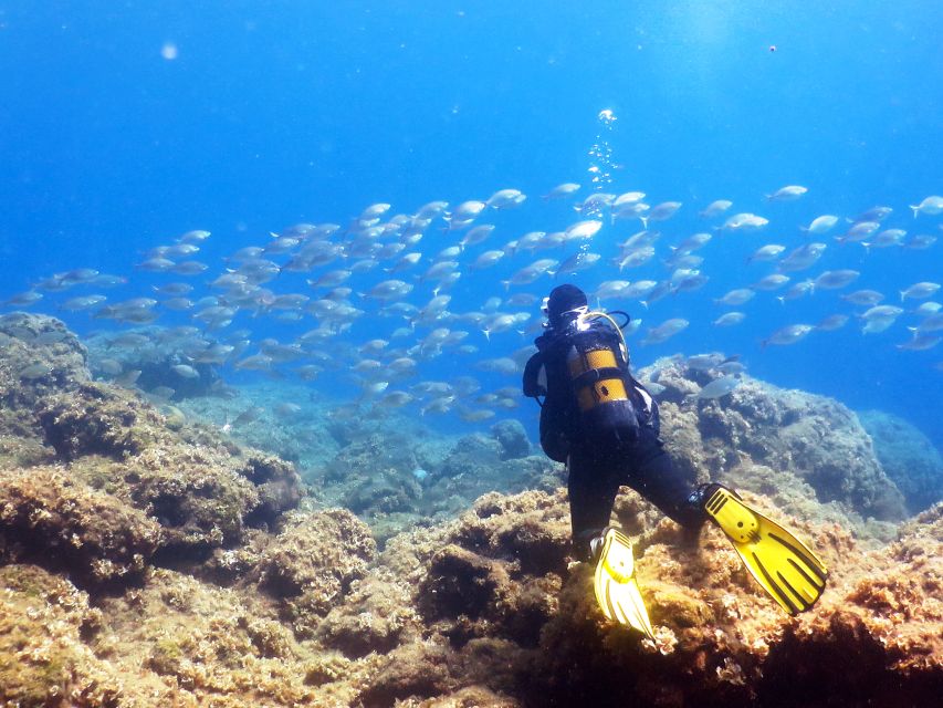 Rhodes: Diving Adventure for Beginners and Experts - Key Points to Know Before You Go