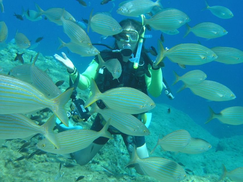 Rhodes: Diving Adventure for Beginners and Experts - Who Will Enjoy This Rhodes Scuba Trip