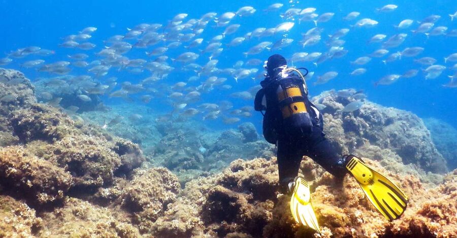 Rhodes: Diving Adventure for Beginners and Experts - Getting Comfortable in the Water