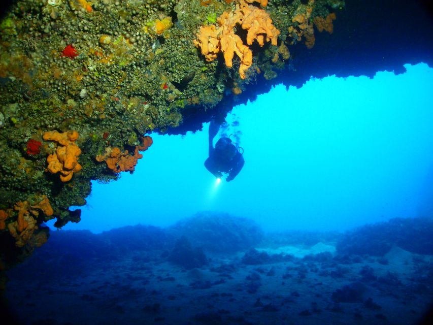 Rhodes: Diving Adventure for Beginners and Experts - What the Included Underwater Session Is Like