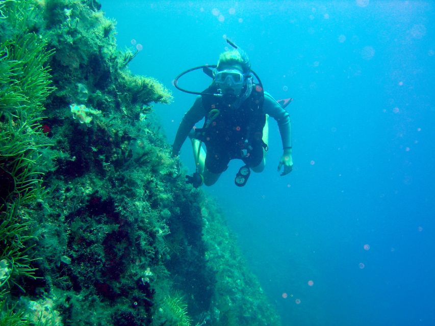 Rhodes: Diving Adventure for Beginners and Experts - Registration and the Safety Briefing