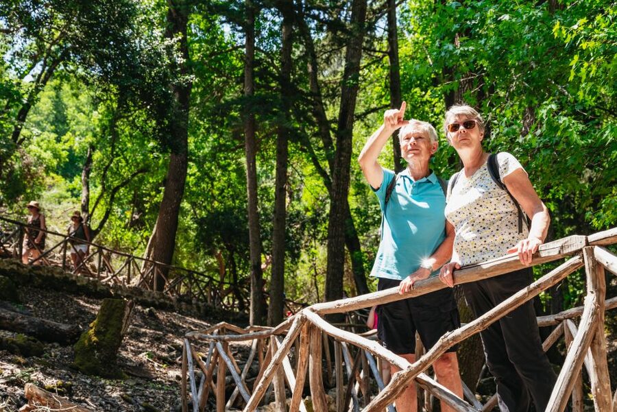 Rhodes: Filerimos Hill and Butterfly Valley Bus Trip - Who will enjoy this trip most?