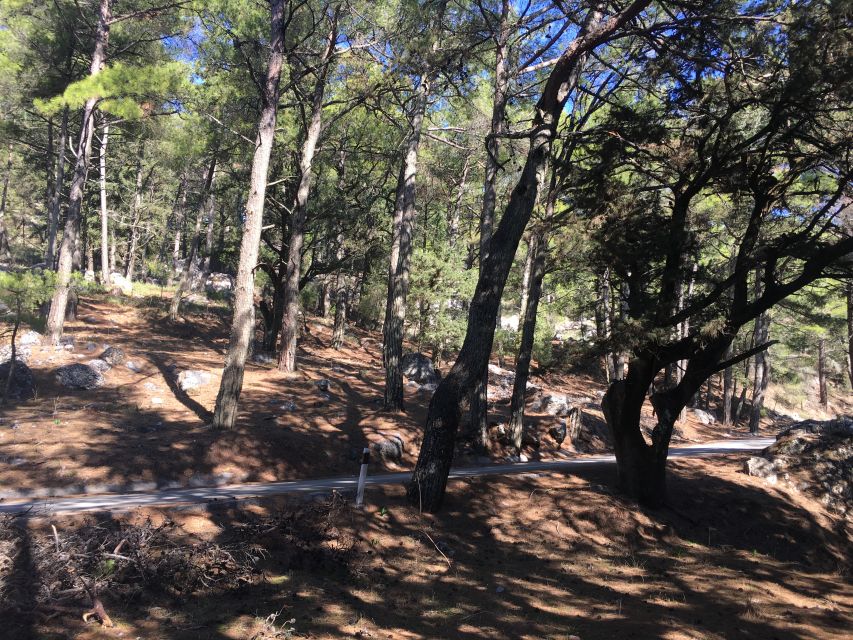 Rhodes: Full–Day 4WD Northern Safari Tour - Key points before you book