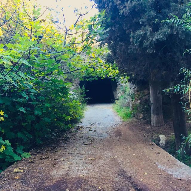 Rhodes: Full–Day 4WD Northern Safari Tour - Off-road tracks through the Rhodes Mountains