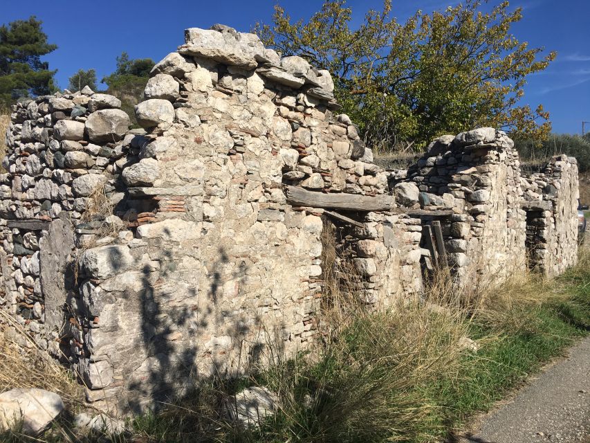 Rhodes: Full–Day 4WD Northern Safari Tour - The easy road back to your hotel