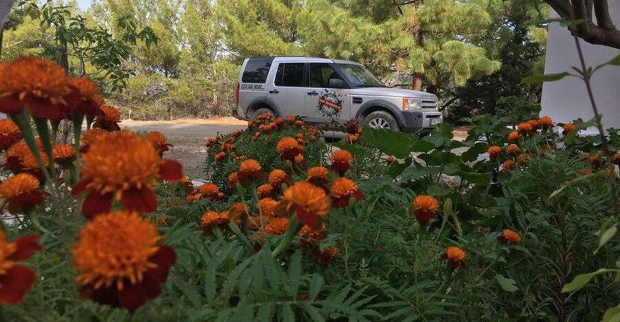 Rhodes: Full–Day 4WD Northern Safari Tour - Is $135 a fair price?