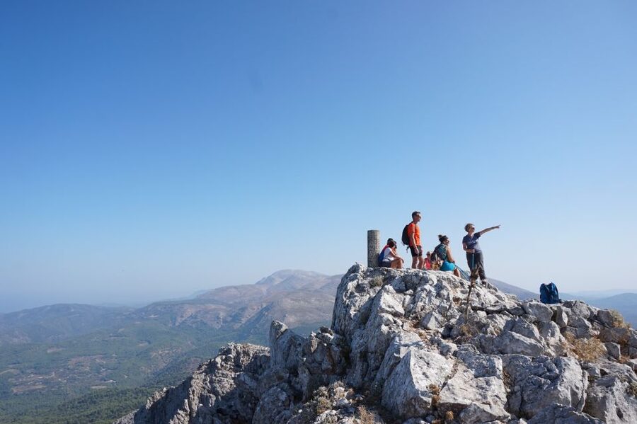 Rhodes: Hiking Tour to the Summit of Akramitis with Photos - A different route down through tall pines