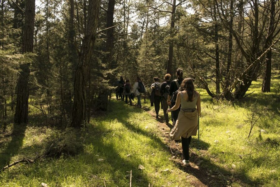 Rhodes: Hiking Tour to the Summit of Akramitis with Photos - What the guides add to the experience
