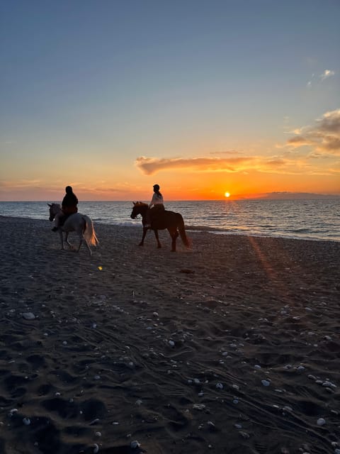 Rhodes: Horseback Riding Trip with Digital Photos - Choosing between the morning countryside and sunset beach ride