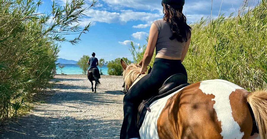 Rhodes: Horseback Riding Trip with Digital Photos - The countryside route beneath the olive trees