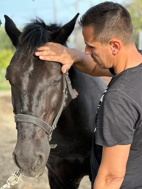 Rhodes: Horseback Riding Trip with Digital Photos - Who should book this ride?