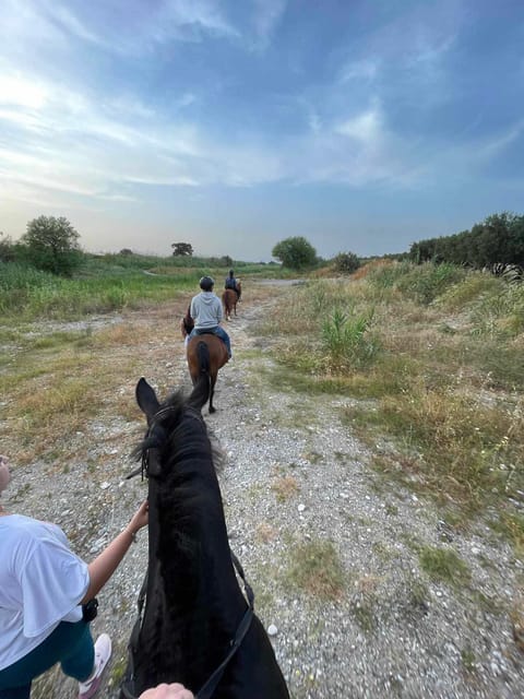 Rhodes: Horseback Riding Trip with Digital Photos - Practical tips for a smoother outing
