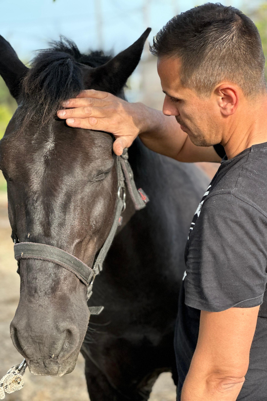Rhodes: Horseback Riding Trip with Digital Photos - Should you book the NivaRanch horseback ride?