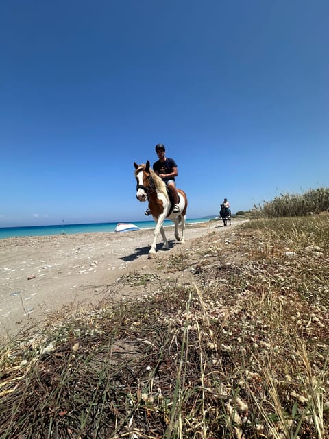 Rhodes: Horseback Riding Trip with Digital Photos - Meeting the horses at NivaRanch