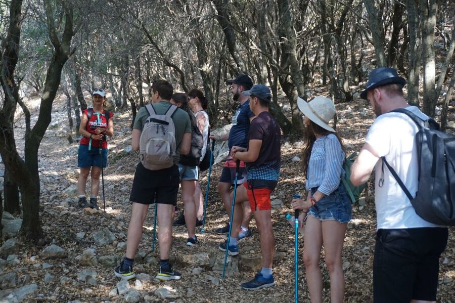 Rhodes: Profitis Ilias Guided Sunset Hike - The climb from Salakos through the trees