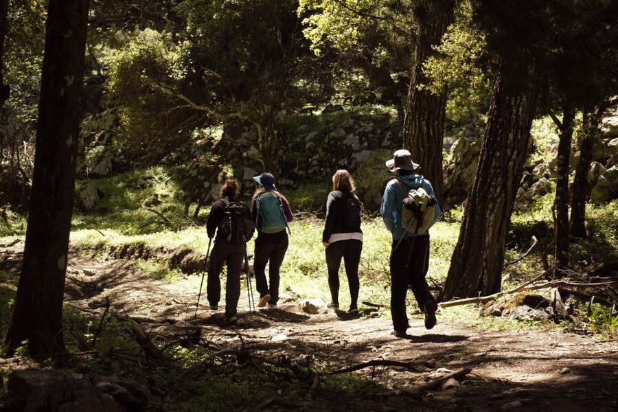 Rhodes: Profitis Ilias Guided Sunset Hike - Profitis Elias church and the mountain summit