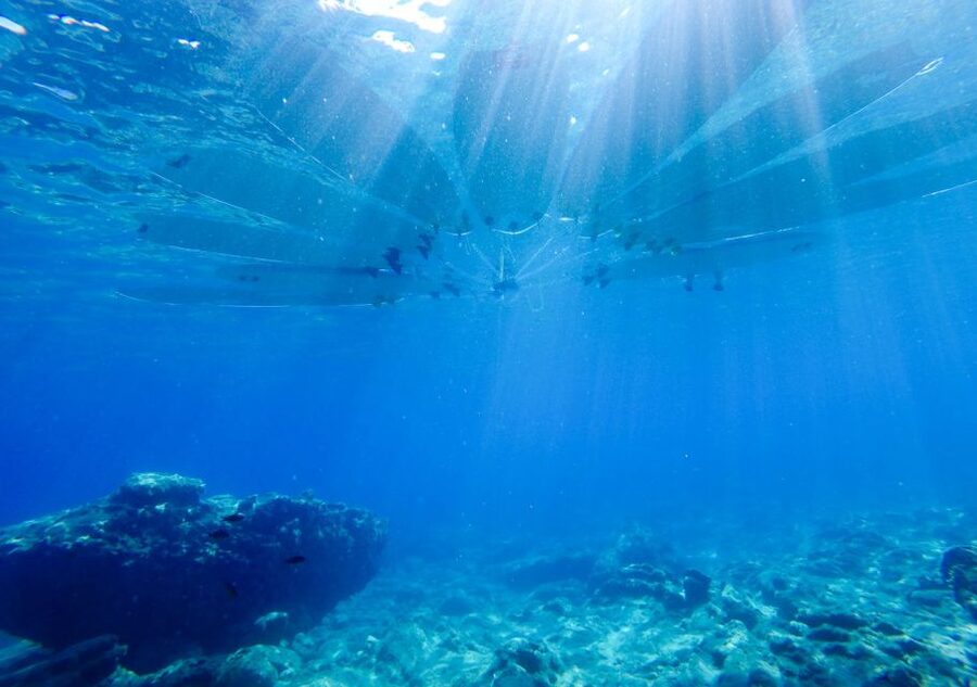 Rhodes: Stand-Up Paddleboard and Snorkeling Tour - A Greek snack in a quiet bay