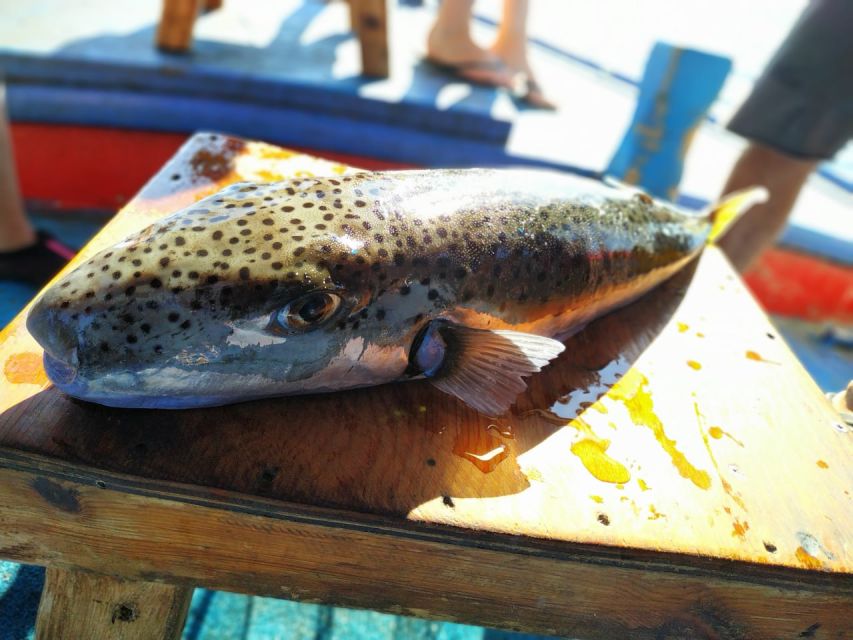 Rhodes Town: Fishing Boat Trip with Fish Meal and Swim Stops - Key points before you book