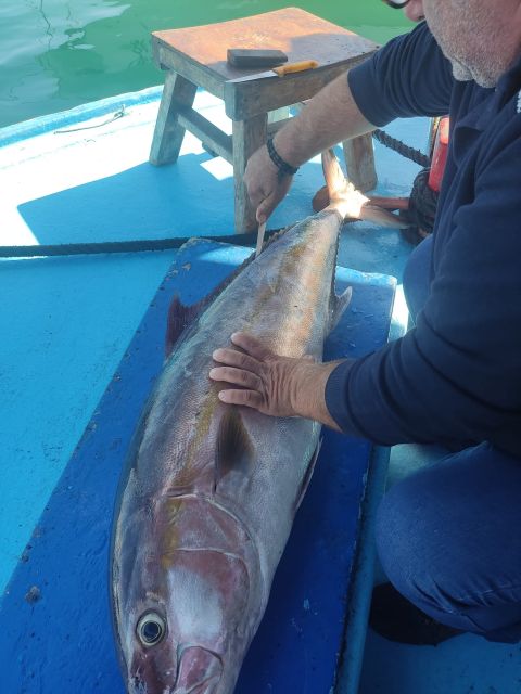 Rhodes Town: Fishing Boat Trip with Fish Meal and Swim Stops - Starting at Mandraki Harbor