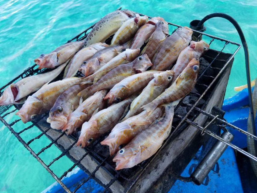 Rhodes Town: Fishing Boat Trip with Fish Meal and Swim Stops - Is the fishing boat trip good value?