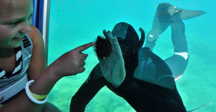 Rhodes Town: Yellow Submarine Cruise with Underwater Views - Quick points to know before you go