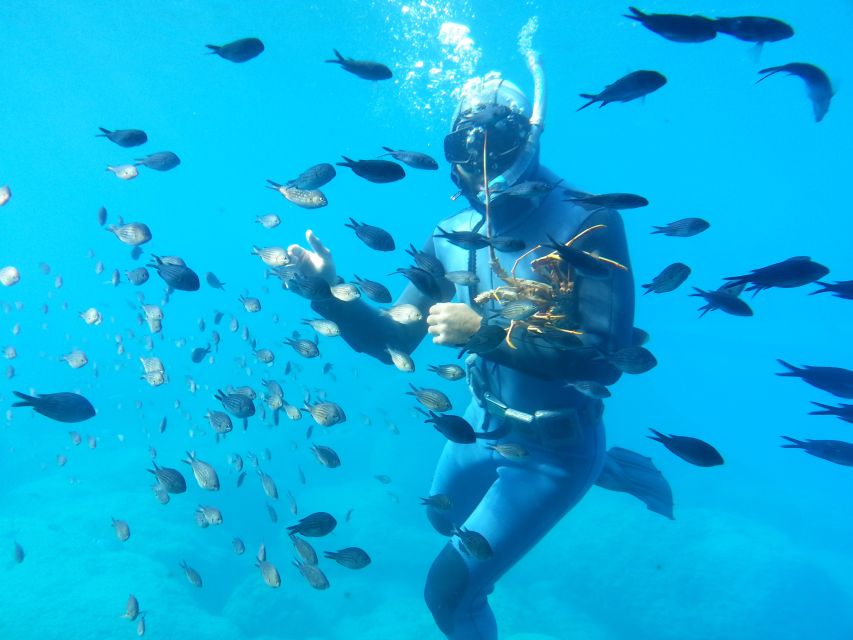 Rhodes Town: Yellow Submarine Cruise with Underwater Views - What you see from Mandraki Harbour