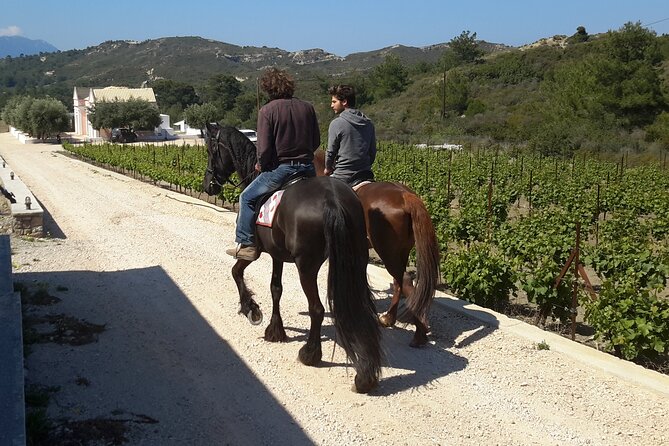 Rhodes Wine & Food Tour: 10 Meal Course Lunch, Wine Tasting, Cooking Class - Tasting five or six wines with a sommelier