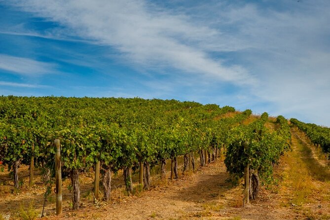 Rhodes Wine & Food Tour: 10 Meal Course Lunch, Wine Tasting, Cooking Class - How the timing affects your day