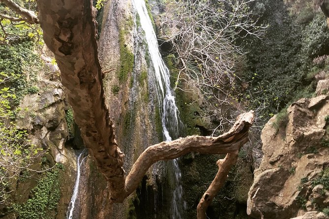 Richtis Waterfall, History, Azoria, OliveTasting, NorthCoast - Key details at a glance